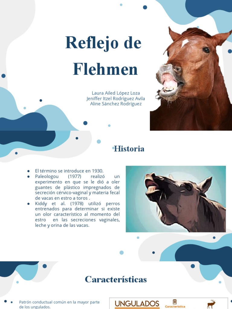 Reflejo de Flehmen en Animales | PDF | Biología