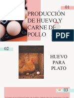 Producción de Huevo y Carne de Pollo