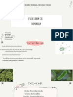 Bacterias. E Coli y Salmonella