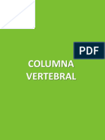 Checklist Columna Dorsal