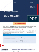 Anexo 08. Determinantes