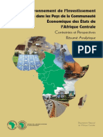 Afrique Centrale - Environnement de Linvestissement Prive Dans Les Pays de La Communaute Economique - Contraintes Et Perspectives - Resume Analytique