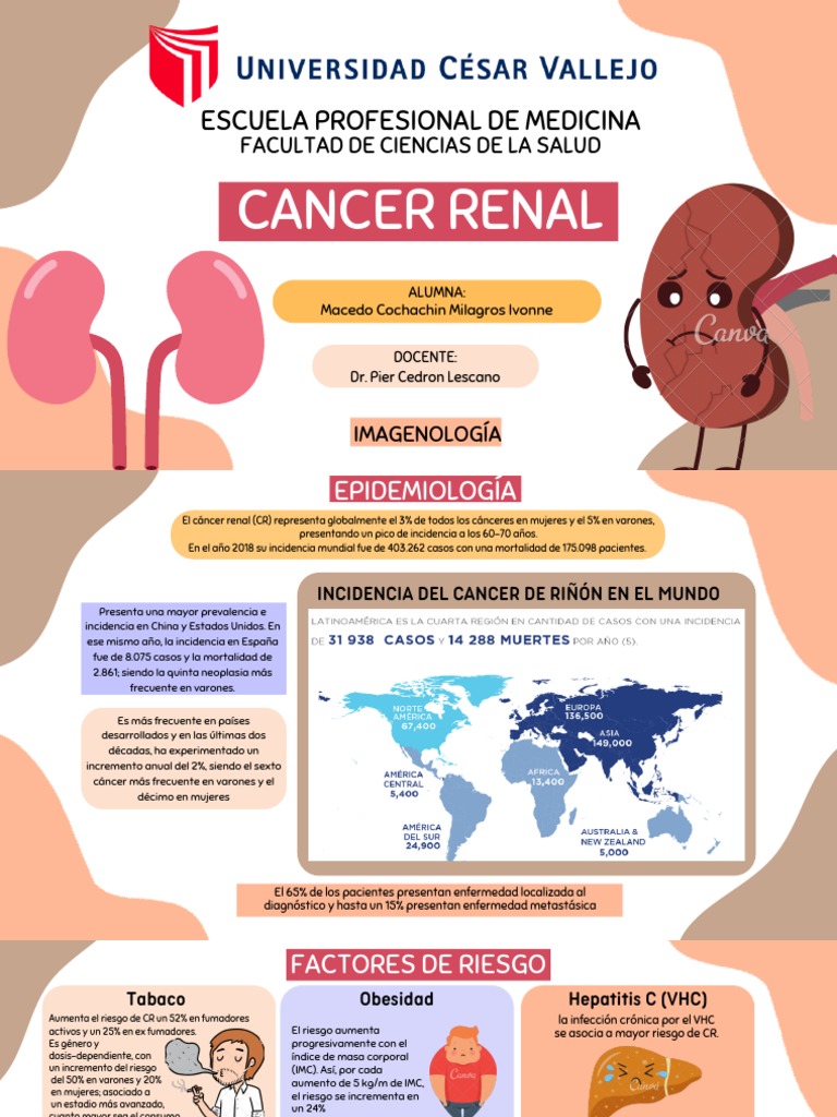 Cancer de Riñon | PDF | Cáncer | Epidemiología