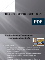 Theory of Production