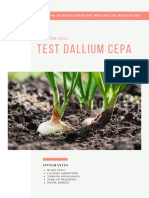 Test Allium cepa