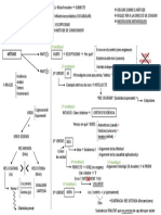 FILO - Mapa Conceptual DESCARTES Lluna Pineda