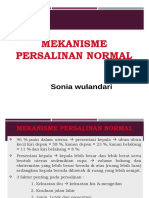 Pertemuan 11 Mekanisme Persalinan Normal (DF)