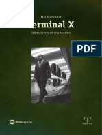 11 - Terminal X