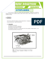 El Citoplasma para Cuarto de Secundaria