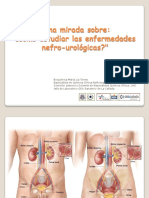 Como Estudiar Enfermedades Nefro Urologicas