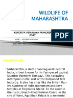 Maharashtra's Diverse Wildlife Sanctuaries