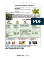 FICHA CIENCIA. - Las Plantas Son Muy Útiles.