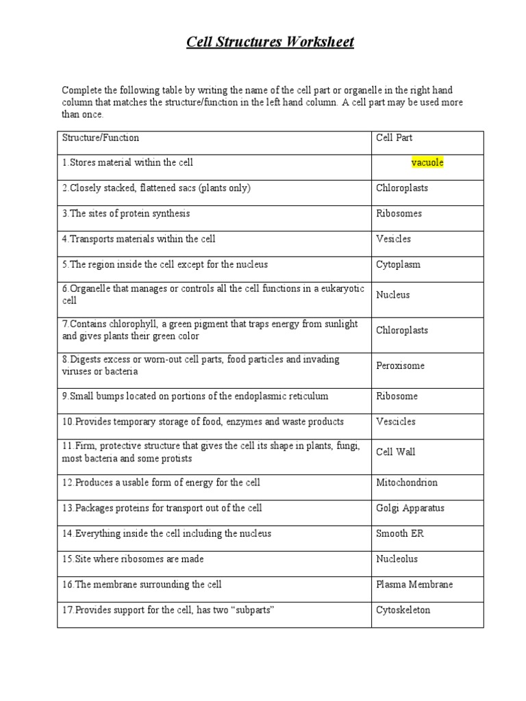 Cell Structures Worksheet | PDF | Cell (Biology) | Endoplasmic Reticulum