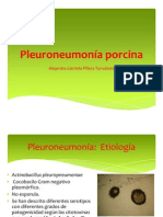 Pleuroneumonía
