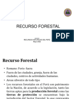 RRNN Forestal 2022