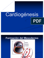 Embrio Sem 12 Cardiogénesis