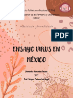 Ensayo Virus en Mexico