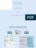 Mapa Conceptual Leche Condensada