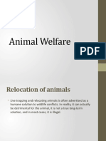 Promoting animal welfare through adoption, humane treatment and preventing cruelty