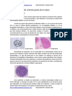 Toxoplasma Gondii (Continuación)