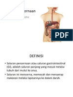 Anatomi Sistem Pencernaan