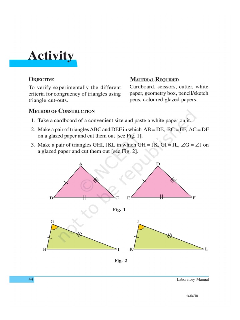 Activities Class IX | PDF