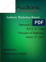 Audionic Marketing Report Complete