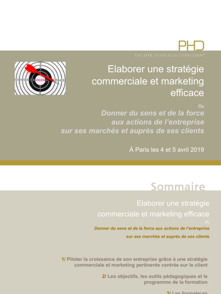 Elaborer Une Strategie Commerciale Et Marketing Efficace 2019 VD ...