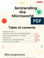 Understanding The Microworld