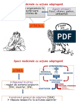 3 Adaptogene