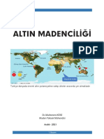 Altin Madenci̇li̇ği̇