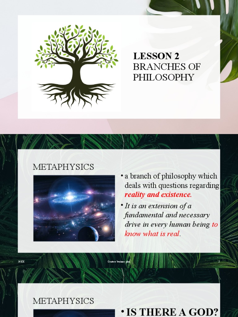 Lesson 2 Branches of Philosophy PDF Reason Epistemology