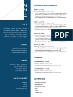 206 Modele CV Scientifique