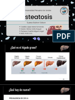 Esteatosis - Grupo 1 - A1