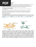 Mycètes agents de mycoses