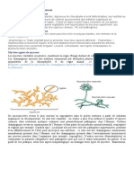 Mycètes Agents de Mycoses