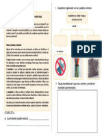 FICHA DE APLIACION DE CIENCIA 20 de Setiembre