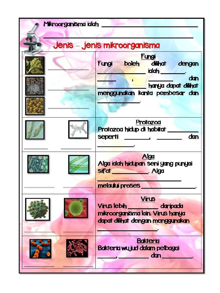 Latihan Sains Tahun 6 Mikroorganisma | PDF