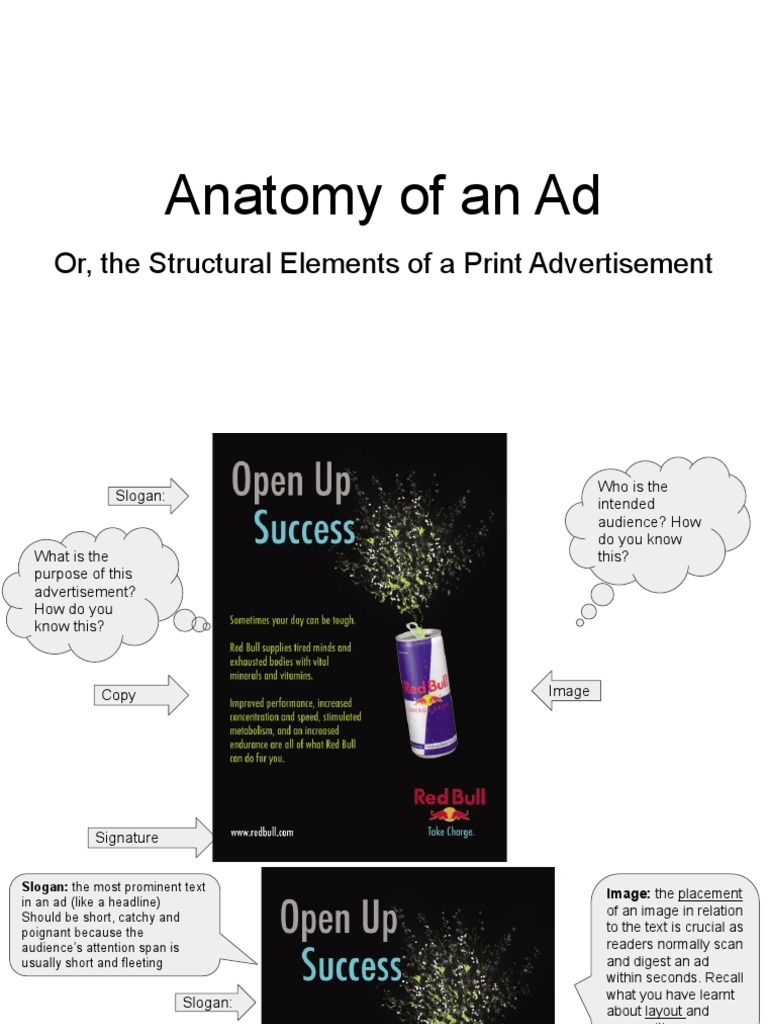 Anatomy of Print Advertisement Elements | PDF | Advertising | Human ...