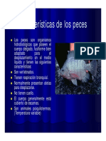 Caracteristicas de Los Peces