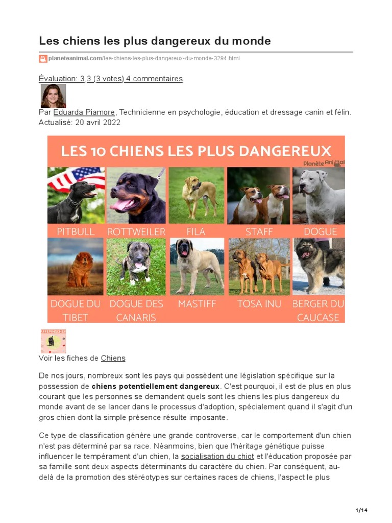 Top 10 des chiens les plus dangereux PDF Chiens Chiens comme — free download