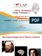 Semana 4 Neuropsicología - Psi. Criminalidad