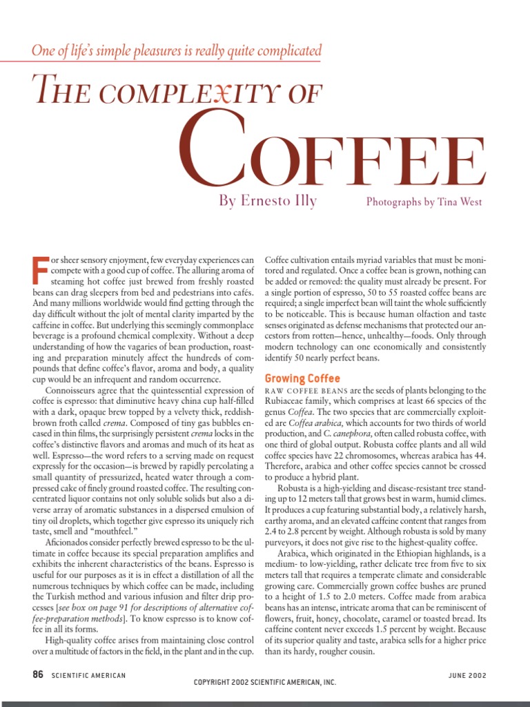 illy coffee case study pdf