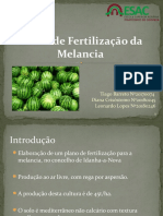 Plano fertilização melancia Idanha-a-Nova