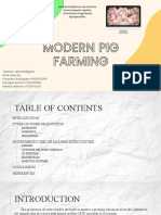Modern Pig Farming