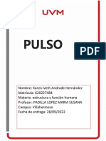 Pulso - Andrade Hernandez Karen Iveth
