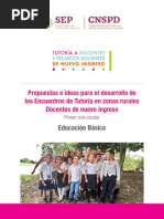Manual de Tutoría para Docentes Nuevos | PDF | Enseñando | Maestros