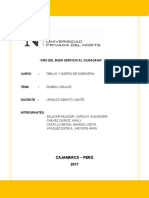 Bomba Lobular Informe de Dibujo