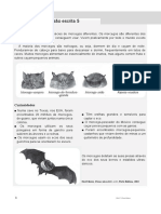 Teste Compreensão Escrita - Morcegos