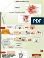 Sistemul Genital 